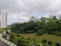 Blk 91A Telok Blangah Parcview (Bukit Merah), HDB 4 Rooms #475757201